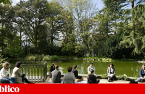 Médicos que prescrevem atividades culturais: Universidade do Porto testa projecto