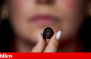 Conferência Factness: o papel dos factos na comunicação de saúde e nutrição