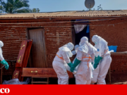 Um caixão rachado, um funeral, uma “maldição”: a caça pelo paciente zero do Ébola