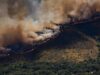 Europa: fogos florestais aumentam 57% em quatro anos, alerta OMS