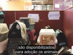 De restaurante a centro de cuidados médicos para os feridos na Venezuela. Este é o McDonald’s “mais importante do mundo”