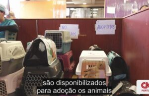 De restaurante a centro de cuidados médicos para os feridos na Venezuela. Este é o McDonald’s “mais importante do mundo”